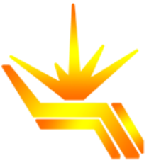 binp_logo